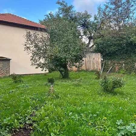 Apartment 2bdr - Zlaja *