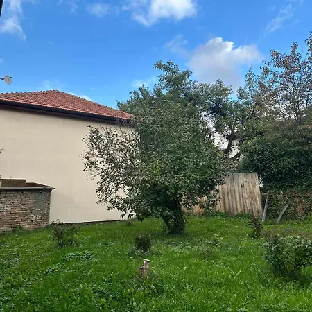 Apartment 2bdr - Zlaja *