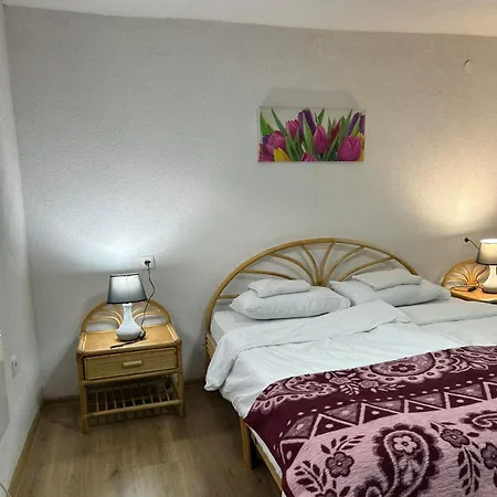 2bdr - Zlaja * Sarajevo